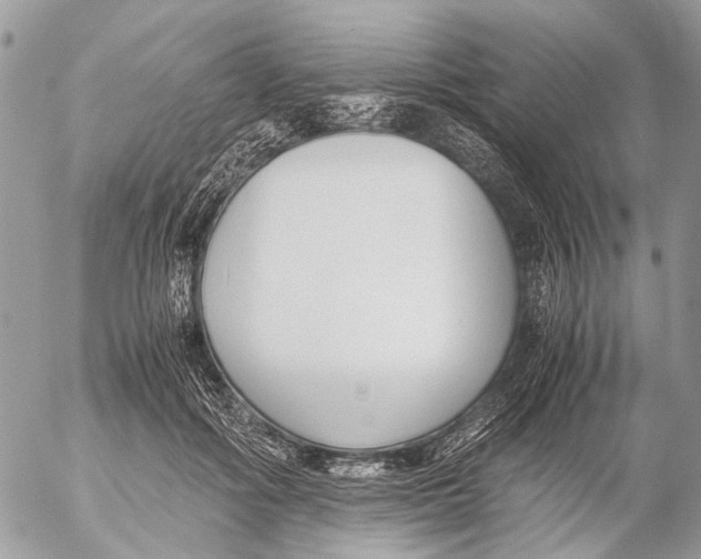 X0000053070602200508081222