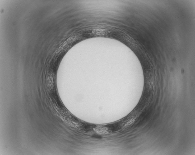 X0000053070603200508081222