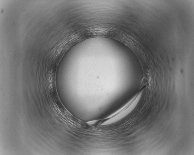 X0000053070604200508081221