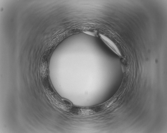 X0000053070605200508081221