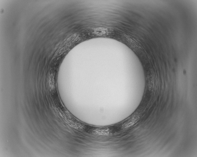 X0000053070606200508081221