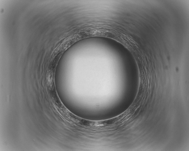 X0000053070607200508081221