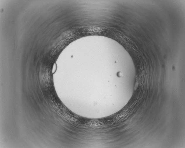 X0000053070608200508081221