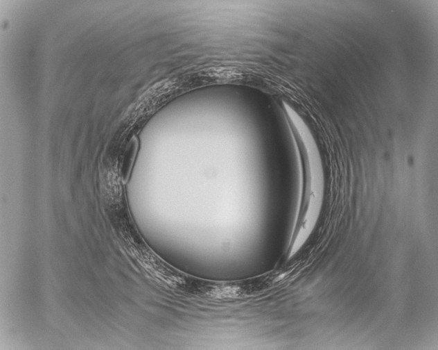 X0000053070609200508081221