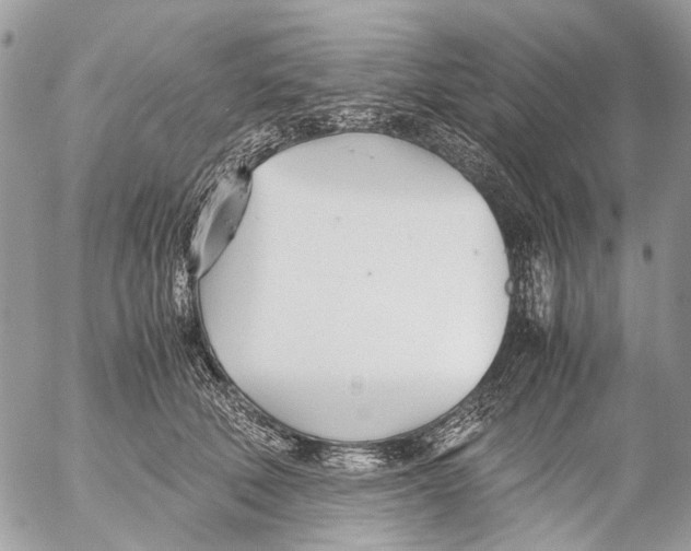 X0000053070610200508081221