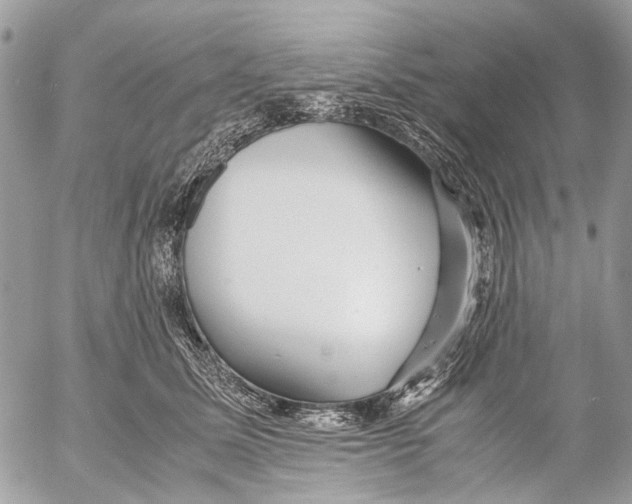 X0000053070611200508081221