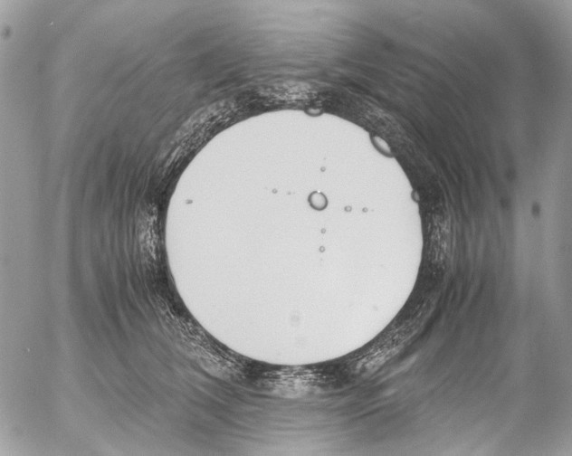 X0000053070612200508081221