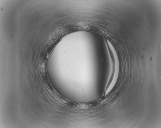 X0000053070613200508081221