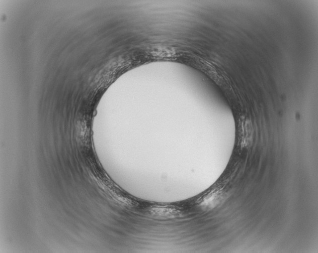 X0000053070614200508081221