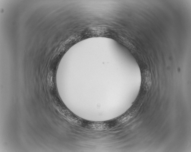 X0000053070615200508081221