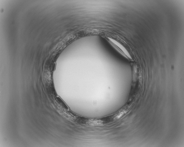 X0000053070617200508081221