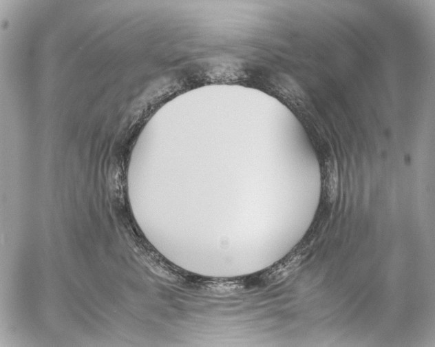 X0000053070619200508081221