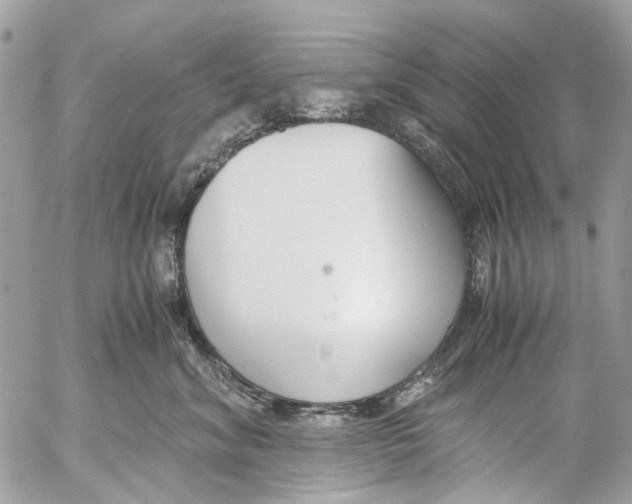 X0000053070620200508081221