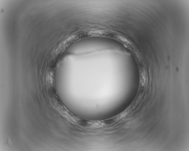 X0000053070621200508081221