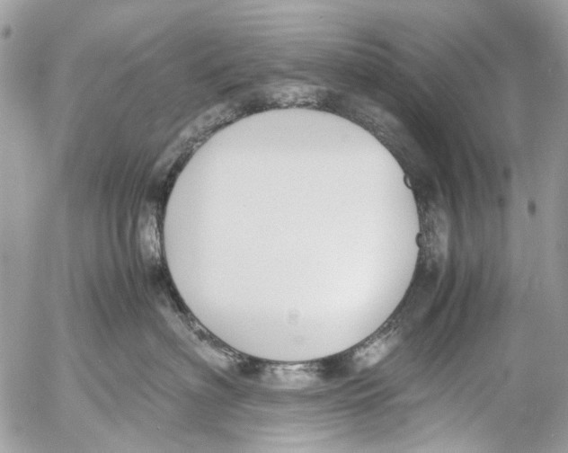 X0000053070622200508081221