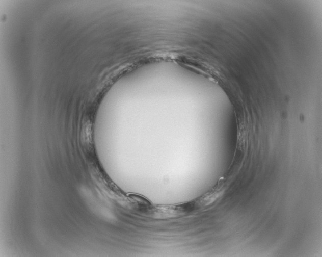 X0000053070623200508081221