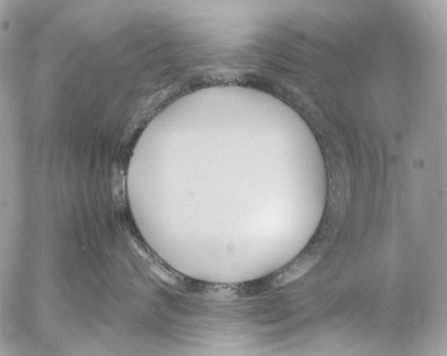 X0000053070624200508081221