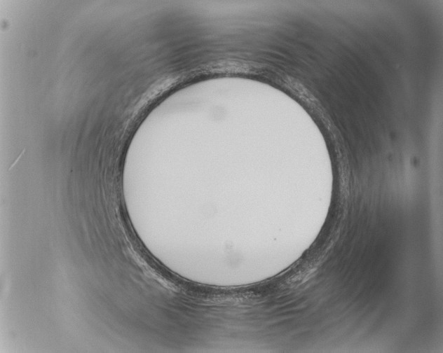 X0000053070625200508081220