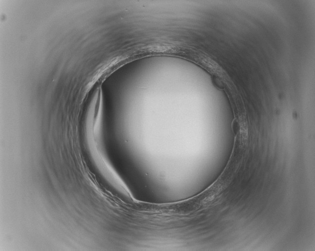 X0000053070626200508081220