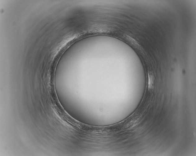 X0000053070627200508081220