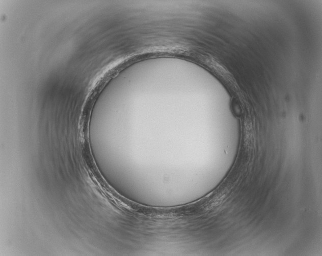 X0000053070628200508081220