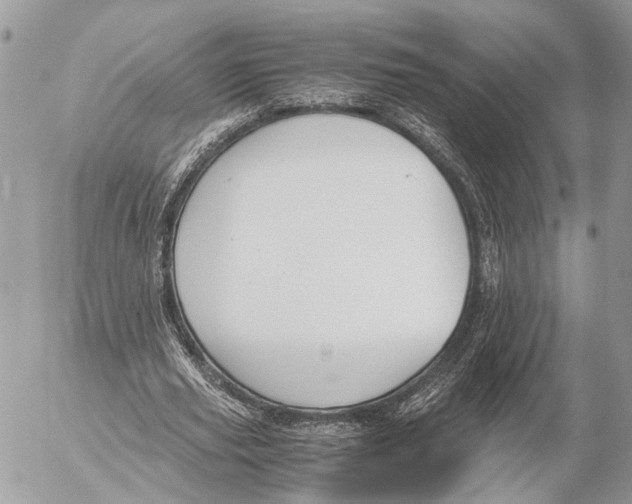 X0000053070629200508081220