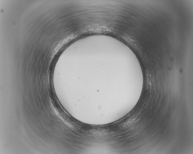 X0000053070630200508081220