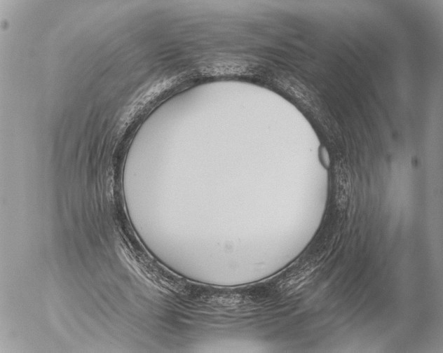 X0000053070631200508081220