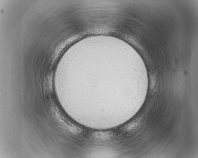 X0000053070632200508081220