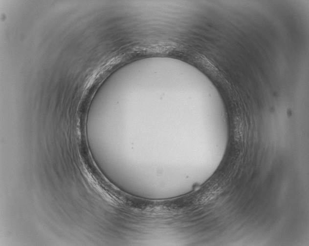 X0000053070634200508081221