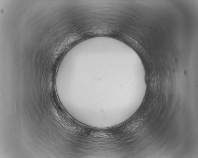 X0000053070635200508081221