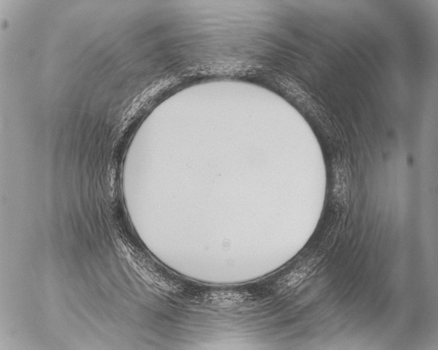 X0000053070636200508081221