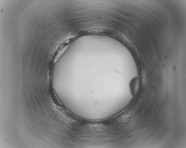 X0000053070637200508081221