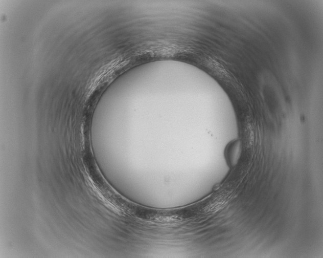 X0000053070638200508081221