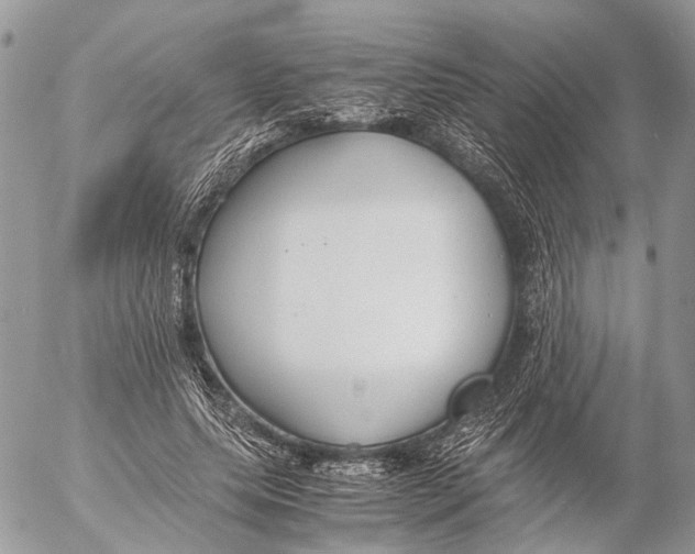 X0000053070639200508081221