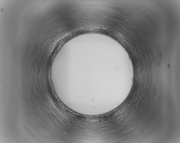 X0000053070640200508081221