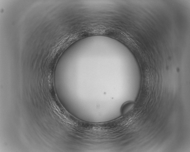 X0000053070641200508081221