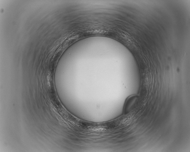 X0000053070643200508081221