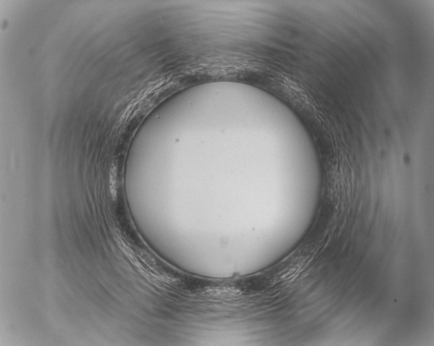 X0000053070644200508081221