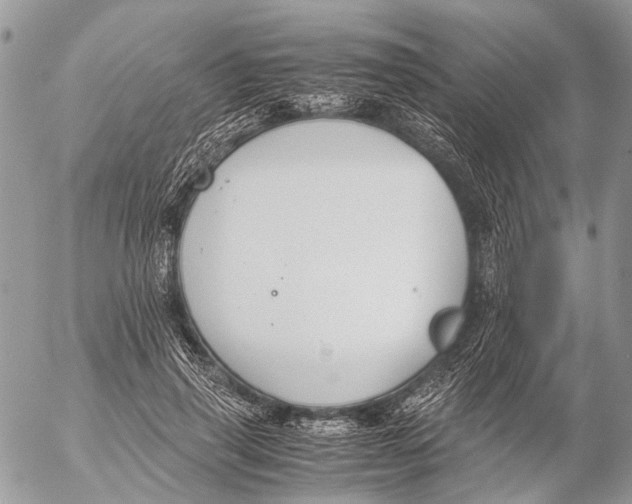 X0000053070645200508081221