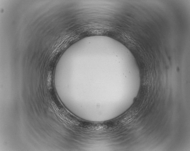 X0000053070646200508081221