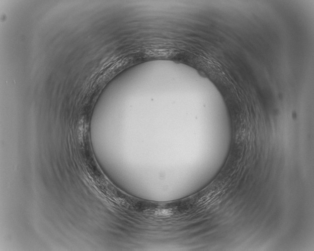 X0000053070647200508081221