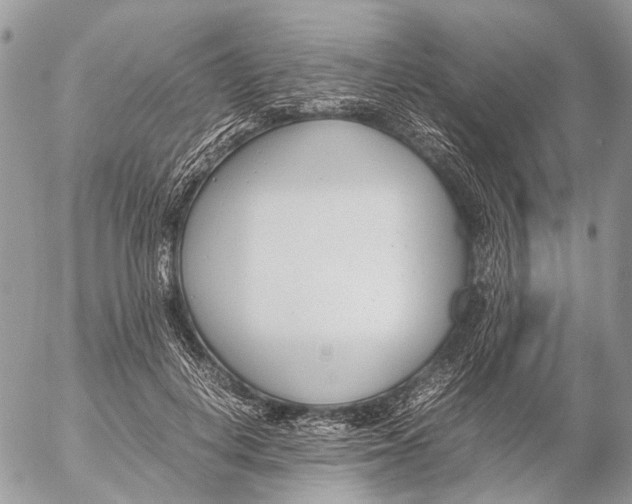 X0000053070648200508081221