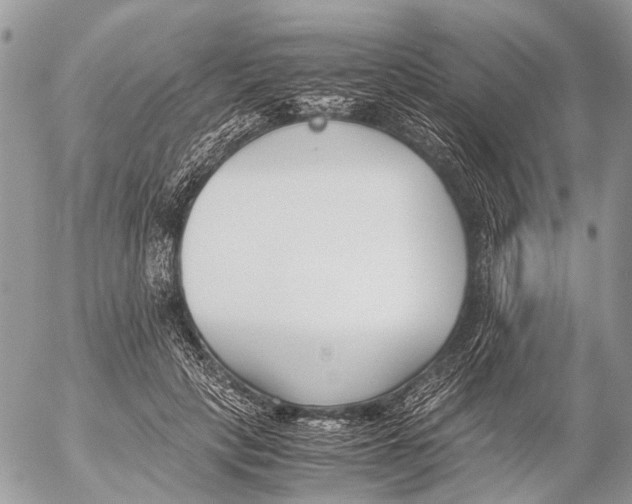 X0000053070649200508081221