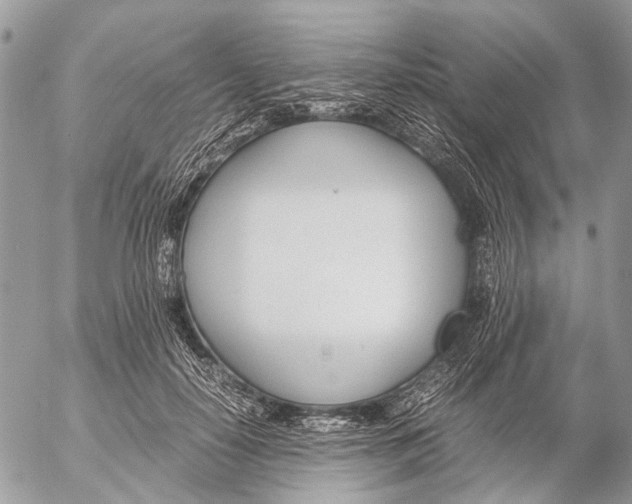 X0000053070650200508081221