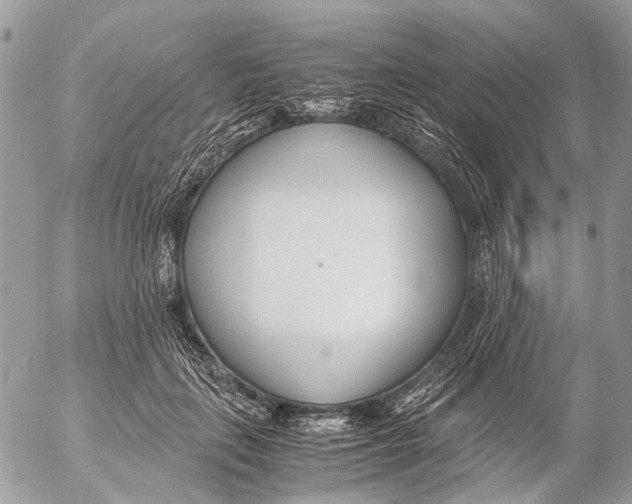 X0000053070651200508081221