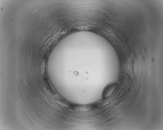 X0000053070652200508081221