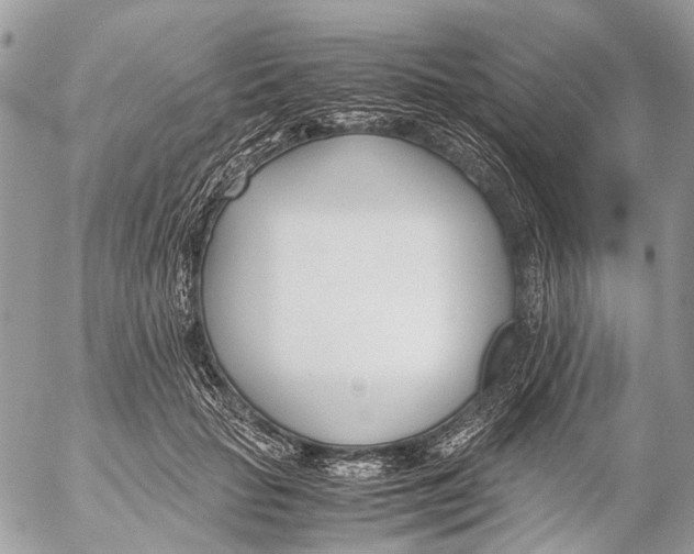 X0000053070653200508081221