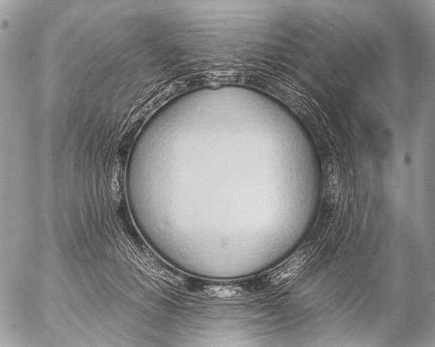 X0000053070654200508081221