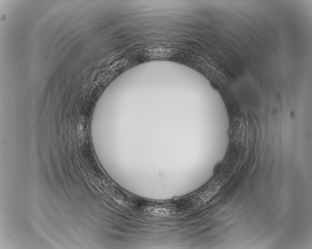 X0000053070655200508081221